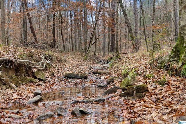 510 MYRICK ROAD, Warrior, AL 35180