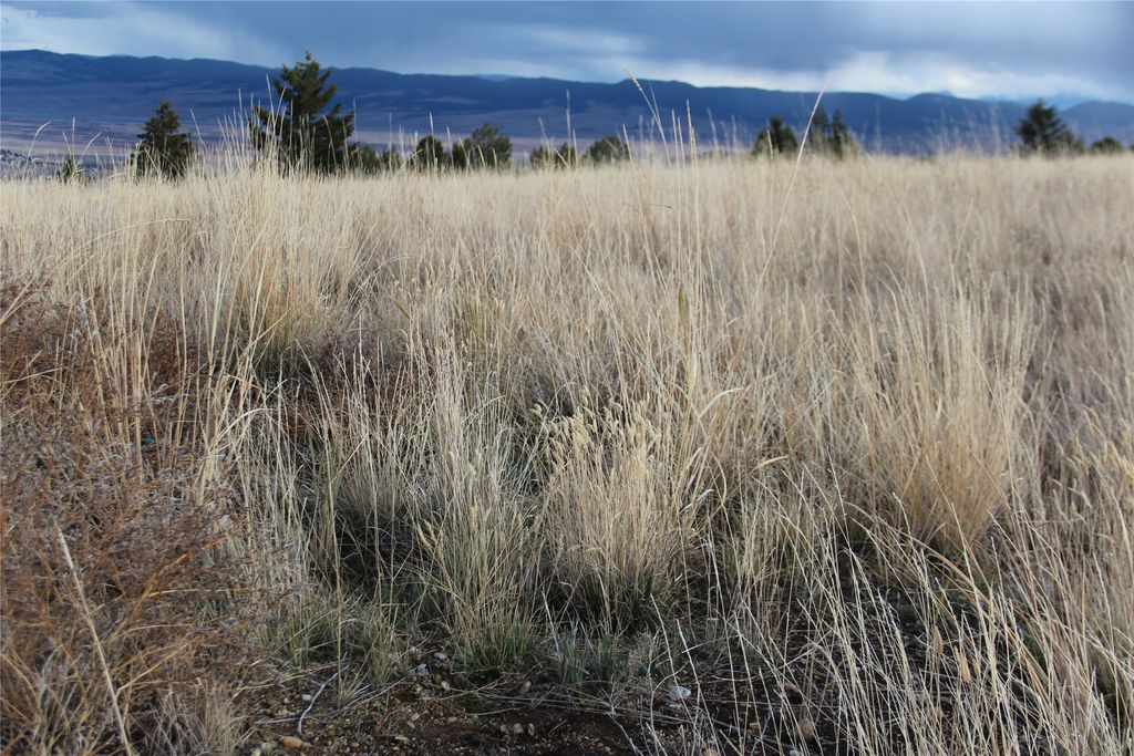 TBD TBD, Anaconda, MT 59711 photo 24