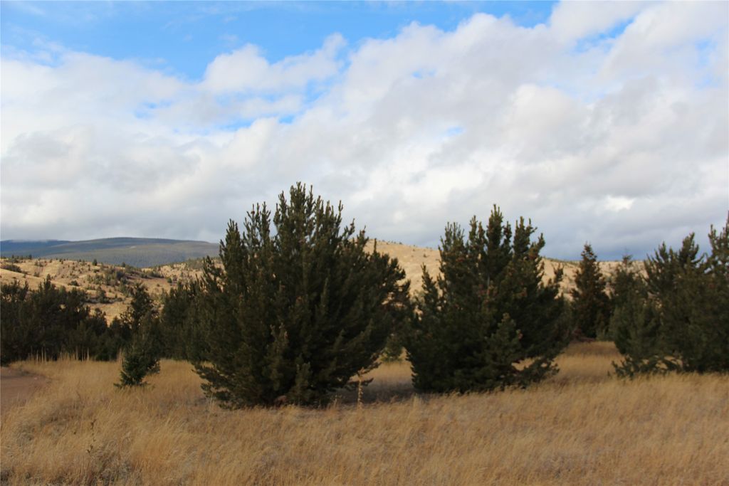 TBD TBD, Anaconda, MT 59711 photo 27