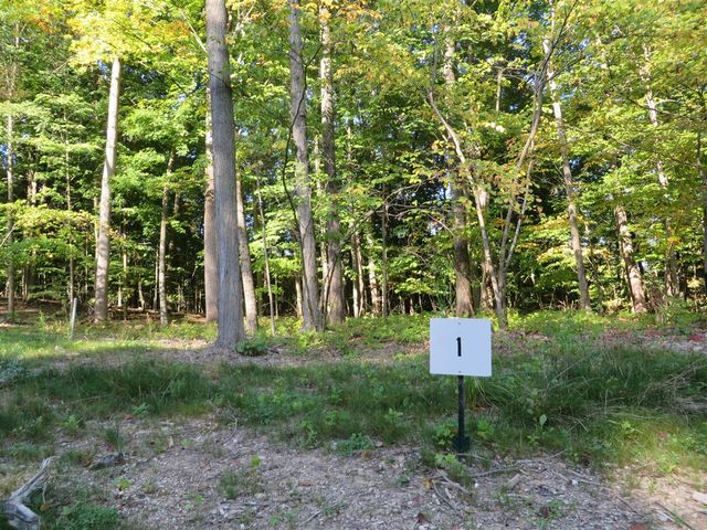 8697 Rainbows End Court, Caledonia, MI 49316