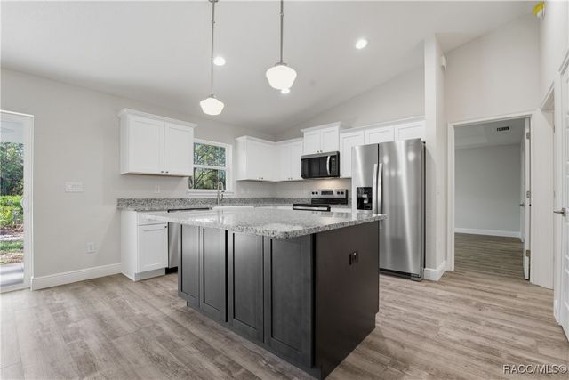 11240 W Dragonhead Drive, Crystal River, FL 34428