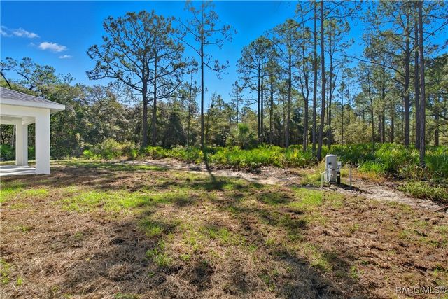 11240 W Dragonhead Drive, Crystal River, FL 34428