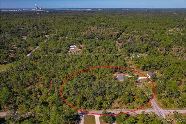 11240 W Dragonhead Drive, Crystal River, FL 34428