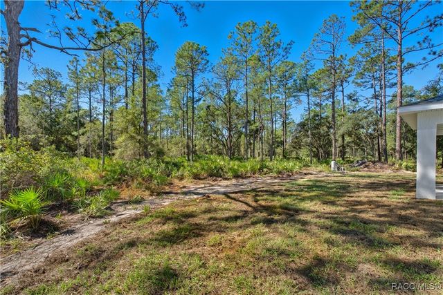 11240 W Dragonhead Drive, Crystal River, FL 34428