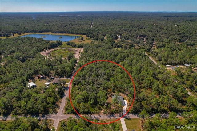 11240 W Dragonhead Drive, Crystal River, FL 34428