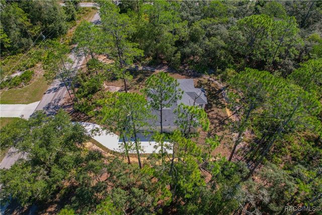11240 W Dragonhead Drive, Crystal River, FL 34428