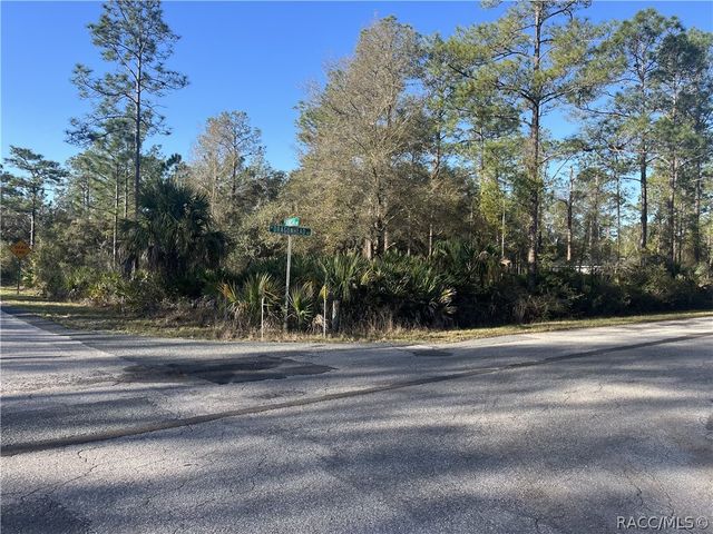 11240 W Dragonhead Drive, Crystal River, FL 34428