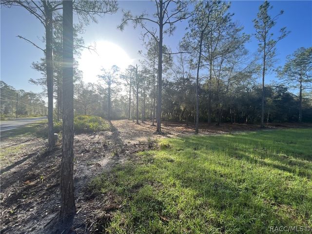 11240 W Dragonhead Drive, Crystal River, FL 34428