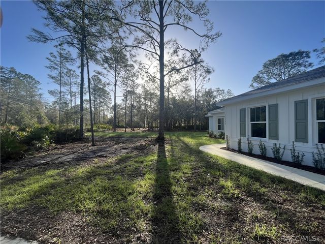 11240 W Dragonhead Drive, Crystal River, FL 34428