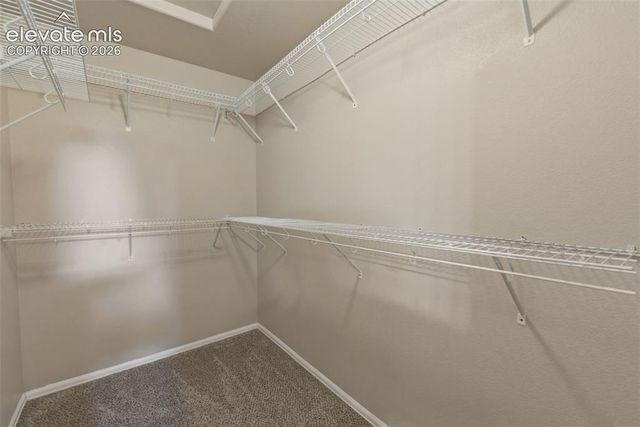 667 Hailey Glenn View, Colorado Springs, CO 80916