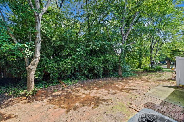 110 Deep Gap Court, Charlotte, NC 28217