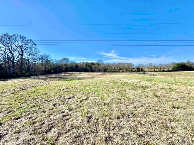 788 BRUCE RD, Whiteville, TN 38075