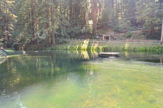 1666 Creek Drive, Felton, CA 95018