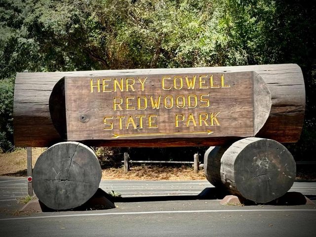 1666 Creek Drive, Felton, CA 95018