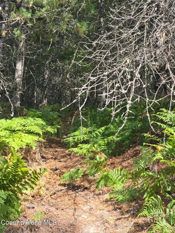 51833 Silver Valley RD, Kellogg, ID 83837 photo 10