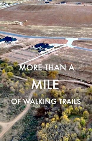 8101 County Rd 6050, Shallowater, TX 79363