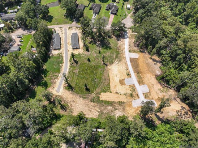 7035 Chandler Bluff Rd, Denham Springs, LA 70706