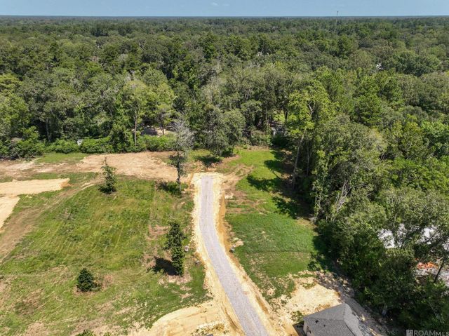7035 Chandler Bluff Rd, Denham Springs, LA 70706