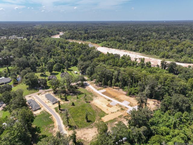 7035 Chandler Bluff Rd, Denham Springs, LA 70706