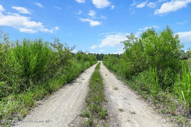 9271 Long Lake Avenue, Weeki Wachee, FL 34613