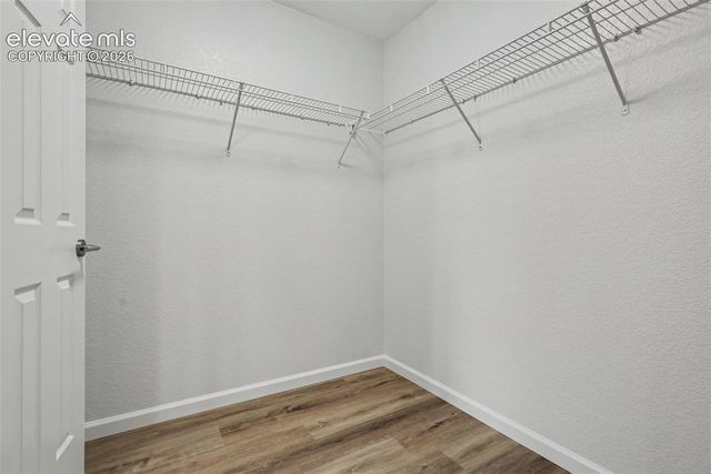 7416 Sandy Springs Point, Fountain, CO 80817