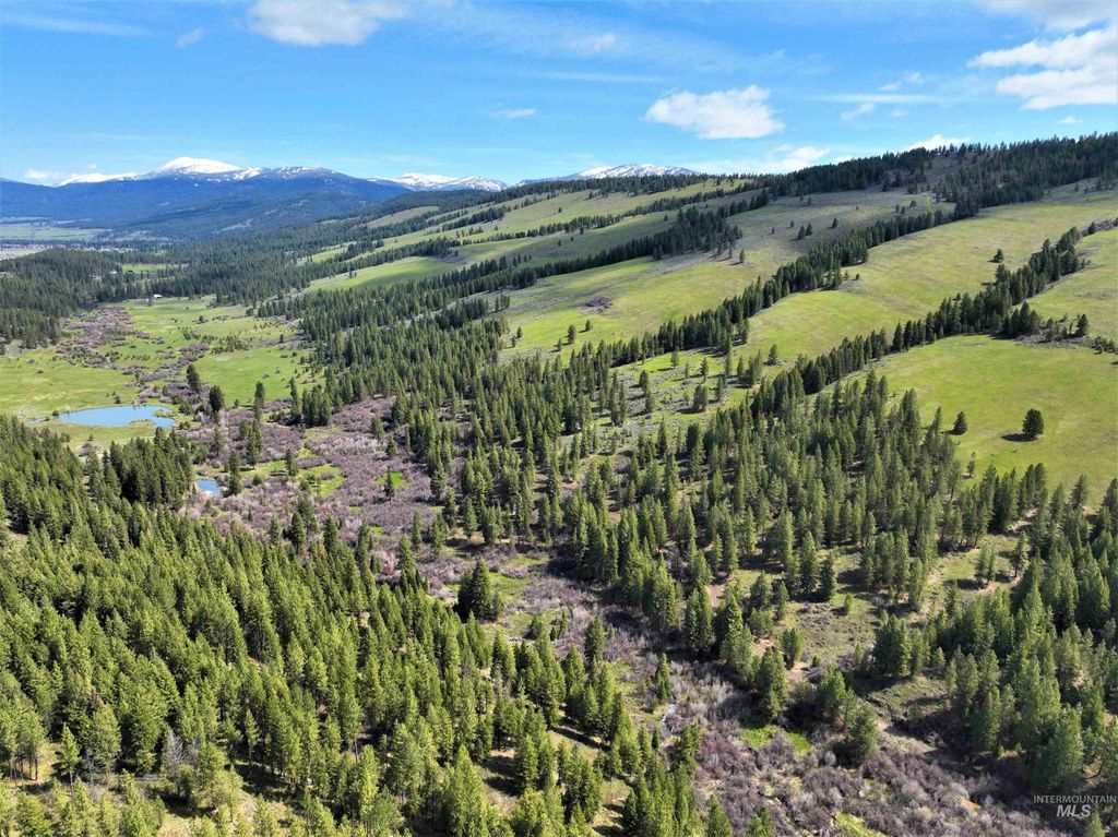 2950 & 3000 Fish Lake Road, New Meadows, ID 83654 photo 28