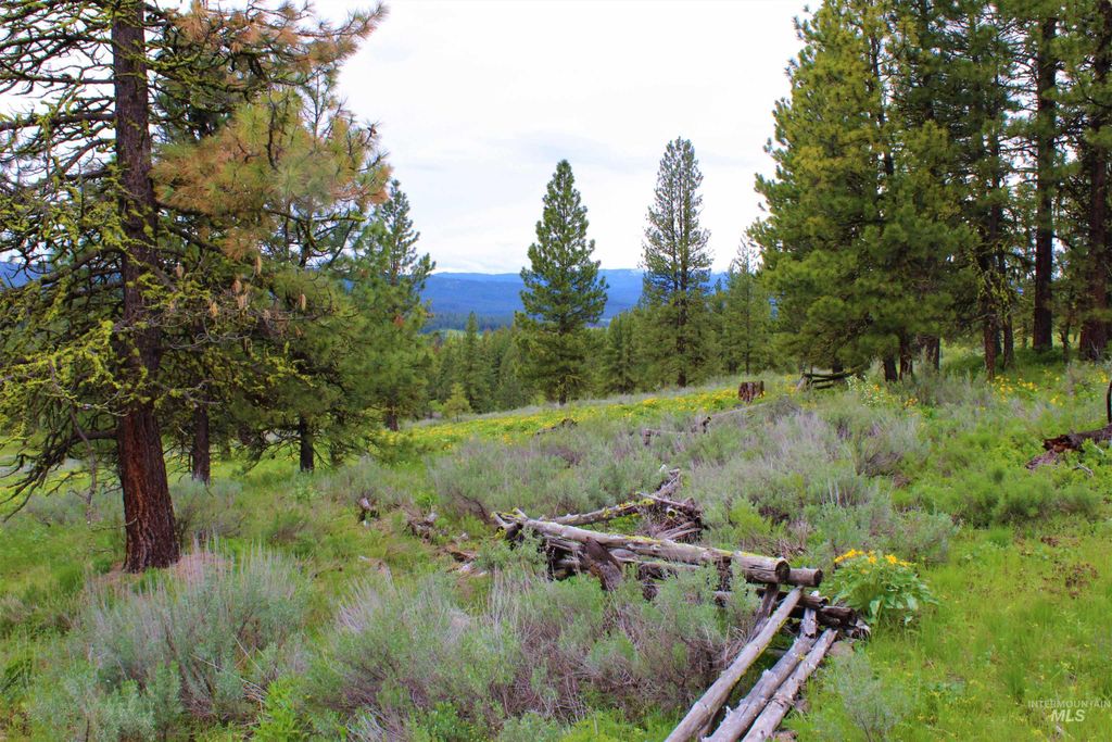 2950 & 3000 Fish Lake Road, New Meadows, ID 83654 photo 7