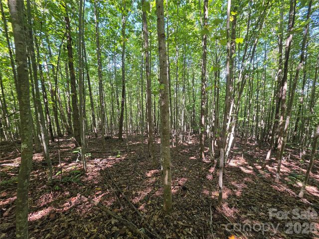 113 Meditation Ridge Drive, Nebo, NC 28761