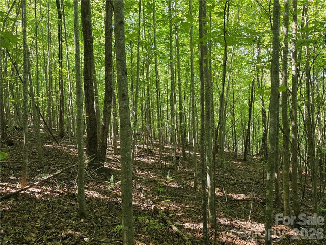 113 Meditation Ridge Drive, Nebo, NC 28761