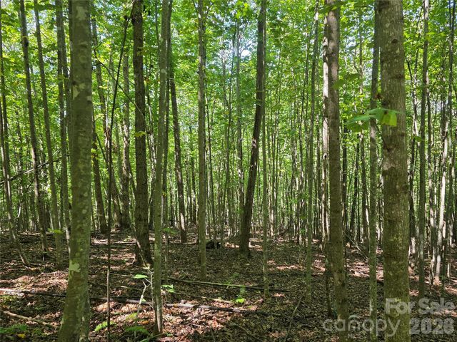 113 Meditation Ridge Drive, Nebo, NC 28761