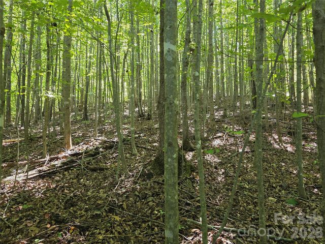 113 Meditation Ridge Drive, Nebo, NC 28761