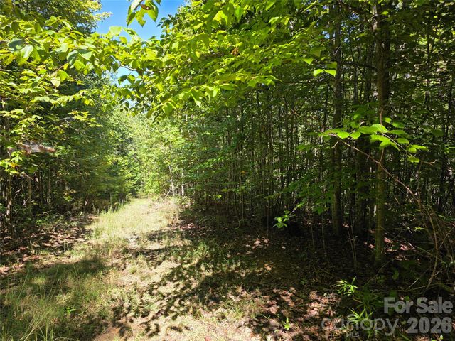 113 Meditation Ridge Drive, Nebo, NC 28761