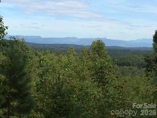 113 Meditation Ridge Drive, Nebo, NC 28761