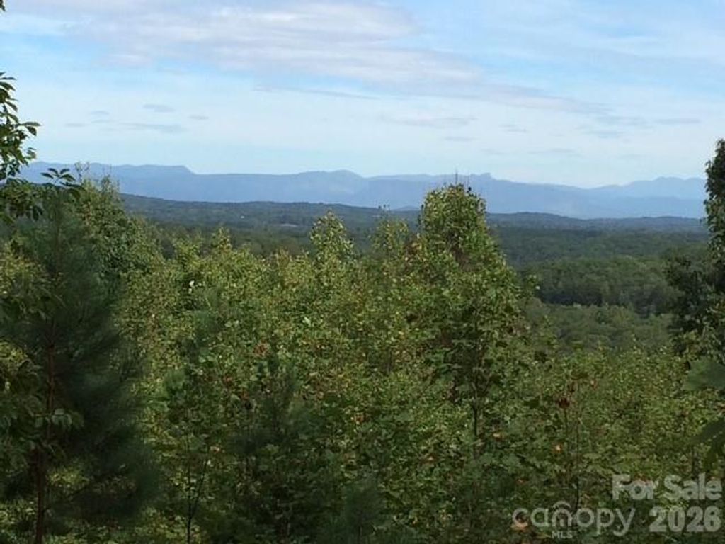 113 Meditation Ridge Drive, Nebo, NC 28761