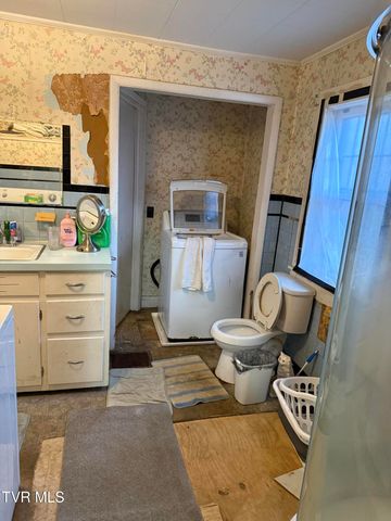 286 Coal Chute Road Road, Elizabethton, TN 37643