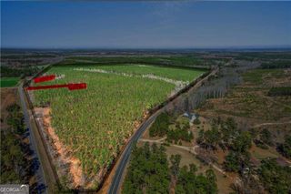 0 Hamburg State Park Road, Warthen, GA 31094