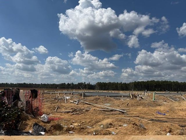 15615 Tranquil Pines Street, Conroe, TX 77302