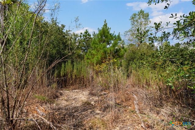 TBD Tonkawa Drive, Paige, TX 78659