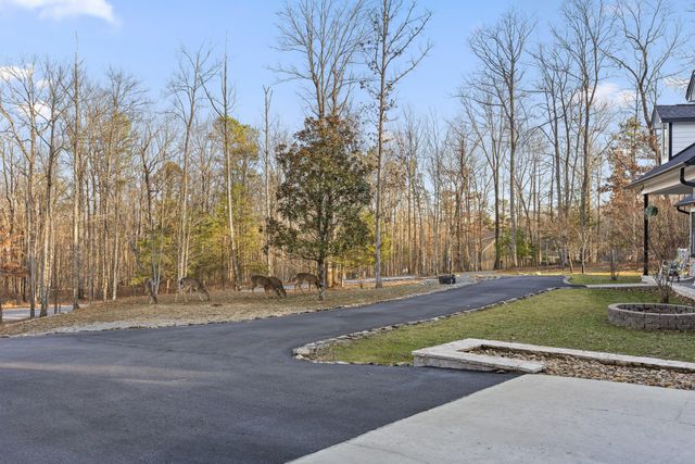 157 Twilight Trail 1, Dunlap, TN 37327