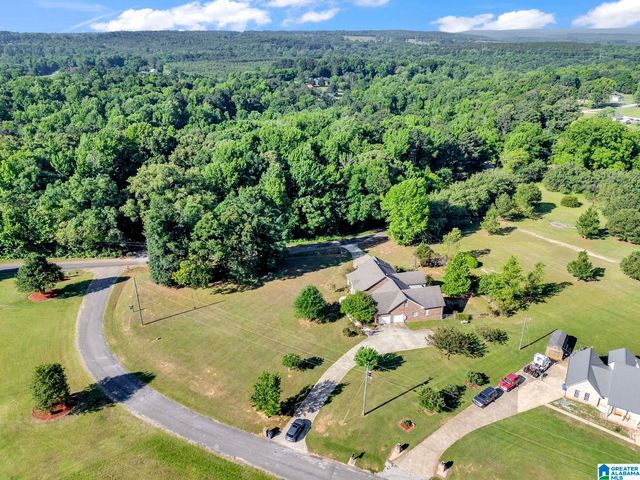 15 CHERRY BLOSSOM LANE, Empire, AL 35063