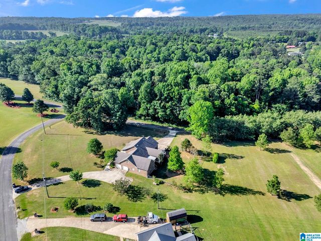 15 CHERRY BLOSSOM LANE, Empire, AL 35063