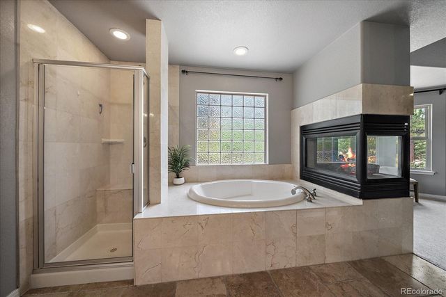 492 Tolland Drive, Castle Rock, CO 80108