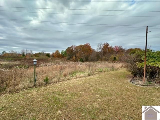 8898 St Rt 58 East, Mayfield, KY 42066