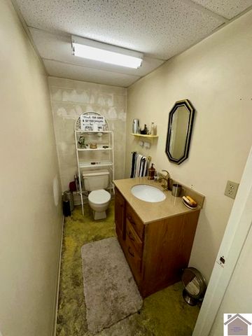 8898 St Rt 58 East, Mayfield, KY 42066