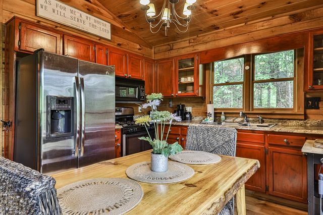 137 Little Beaver Drive, Cherry Log, GA 30522