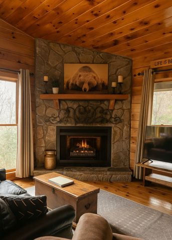 137 Little Beaver Drive, Cherry Log, GA 30522