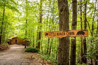 137 Little Beaver Drive, Cherry Log, GA 30522