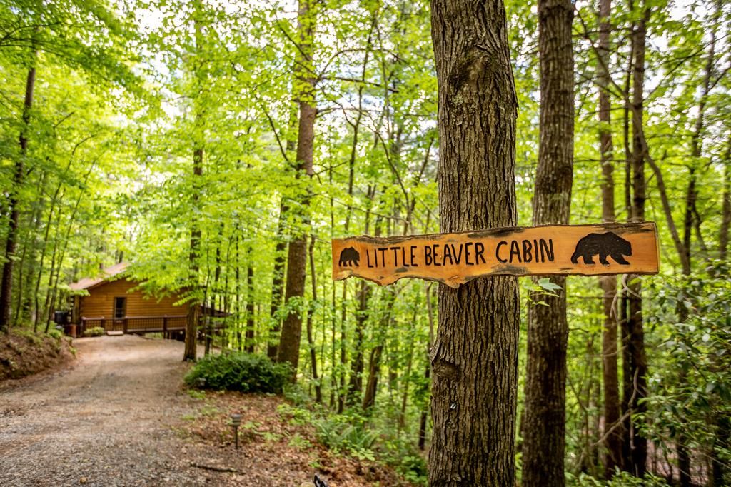 137 Little Beaver Drive, Cherry Log, GA 30522