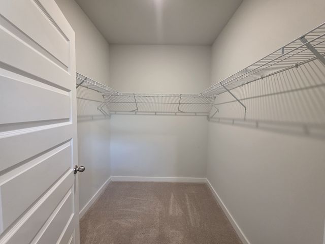 1037 Royal Gorge Pvt Ct, Gallatin, TN 37066