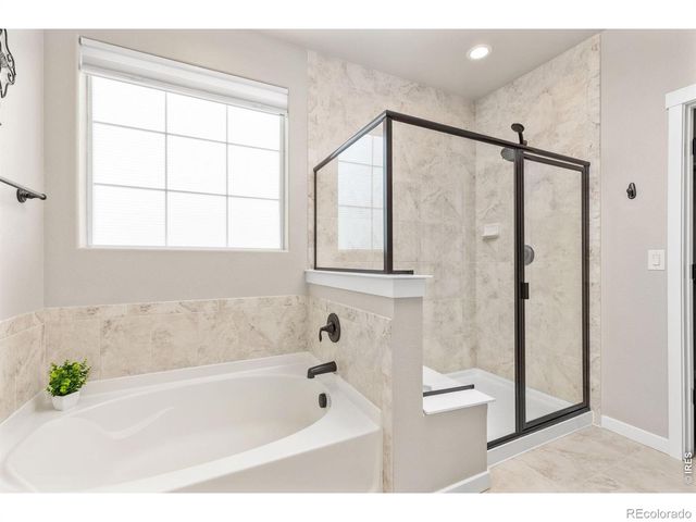 2176 Day Spring Drive, Windsor, CO 80550